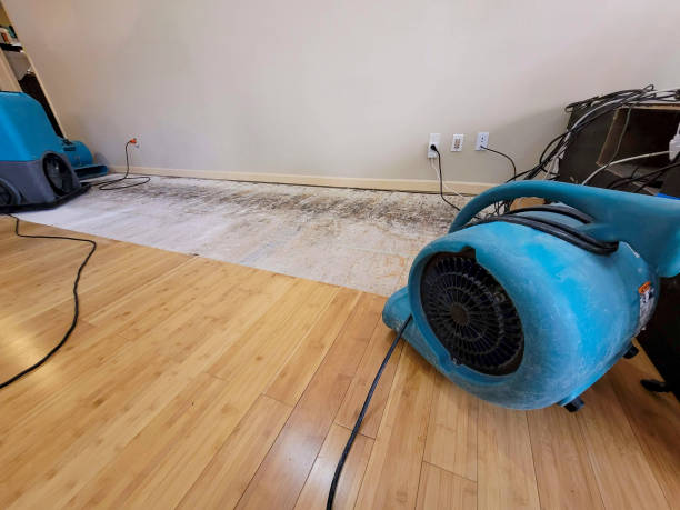 Professional Water Damage Repair technician working in Great River, NY